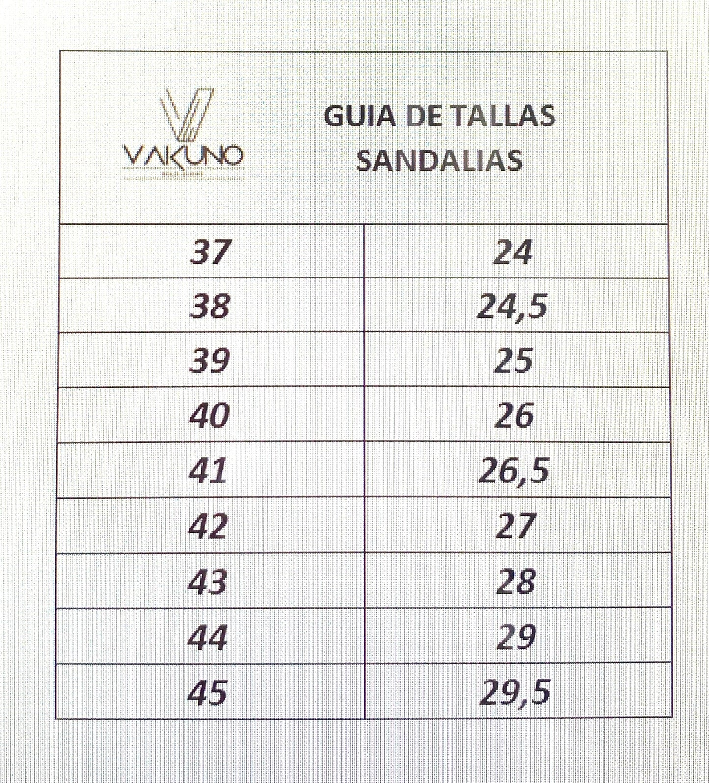 Sandalia Dos Hebillas color negro