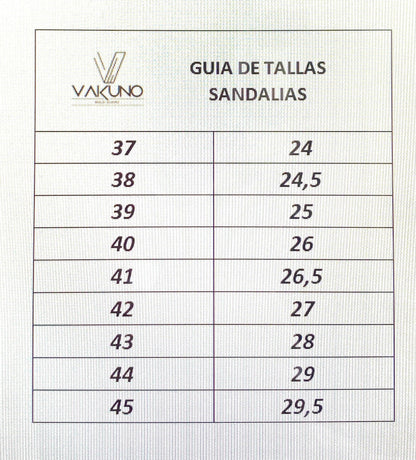 Sandalia Dos Hebillas color negro